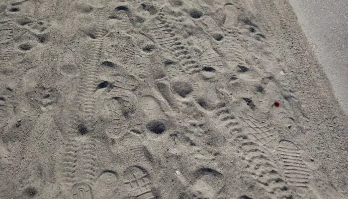 Власти Бийска объяснили, откуда берется песок на городских дорогах