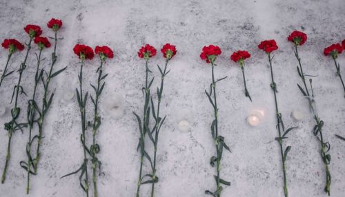 День Неизвестного Солдата: как почтили память бойцов в Барнауле 3 декабря