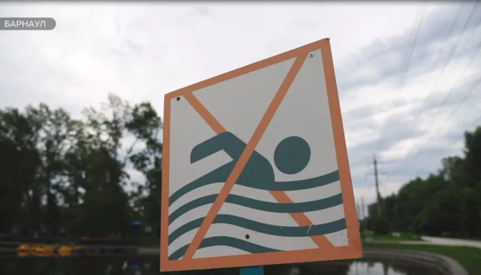 Барнаульцы жалуются на купающихся в пруду парка Изумрудный детей