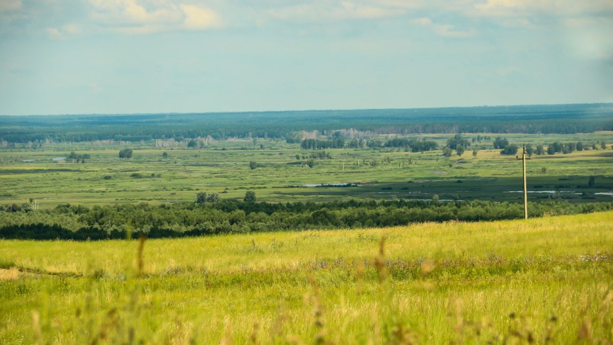 Природа Алтайского края