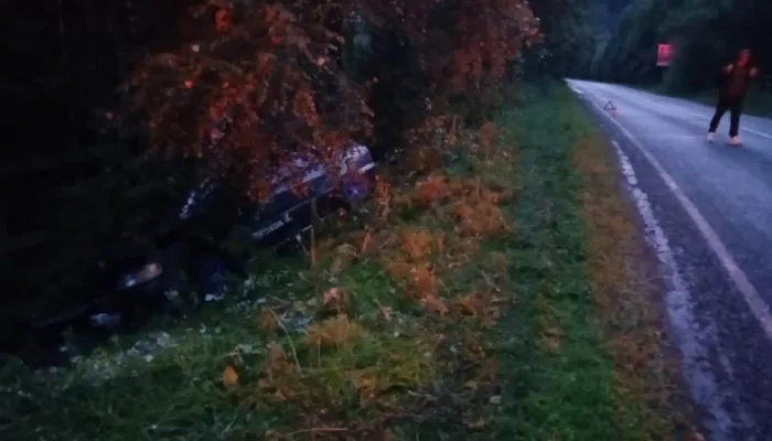 На Алтае водитель уснул за рулем и врезался в дерево, пострадала девятилетняя девочка
