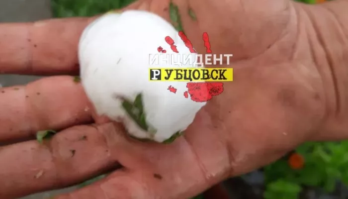 Град размером с куриное яйцо выпал в одном из районов Алтайского края