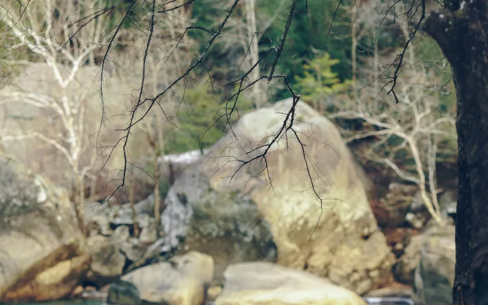 Лучший мотоинструктор Москвы сорвался со скалы в Абхазии и погиб