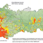Погода за +30. Алтайский край переживает аномальную жару и уже страдает от засухи