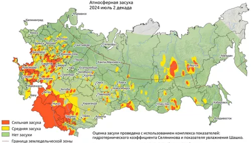 Погода за +30. Алтайский край переживает аномальную жару и уже страдает от засухи