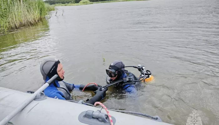 В пруду у села Клочки в Алтайском крае утонул мужчина