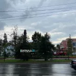 Накрывший Барнаул ураган повалил множество деревьев в городе. Фото
