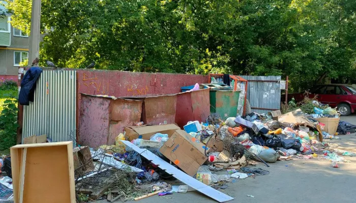 Барнаульцы возмутились куче мусора на улице Гущина