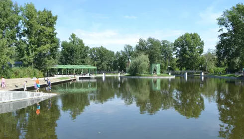 Приносящие удачу рыбки неожиданно дали потомство в барнаульском парке. Видео