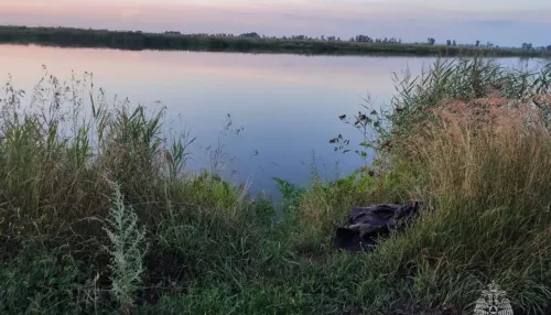 Мужчина утонул в безымянном пруду у села в Алтайском крае