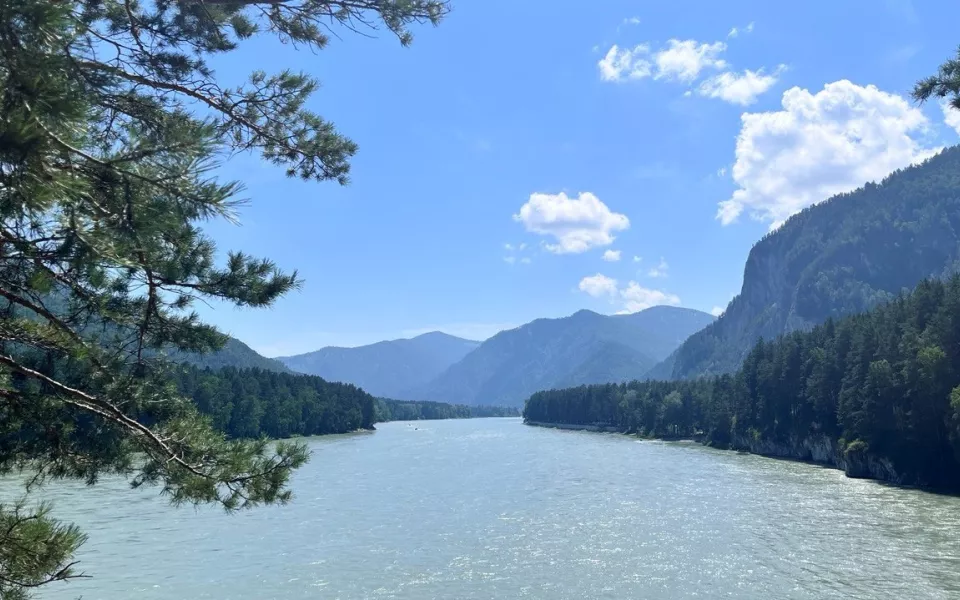 Вся Сибирь туда едет: Путину доложили о состоянии туризма на Алтае