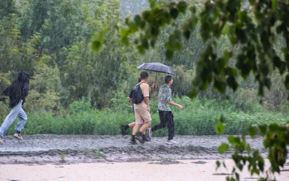 Дожди с грозами и градом снова накроют Алтайский край 28 июня
