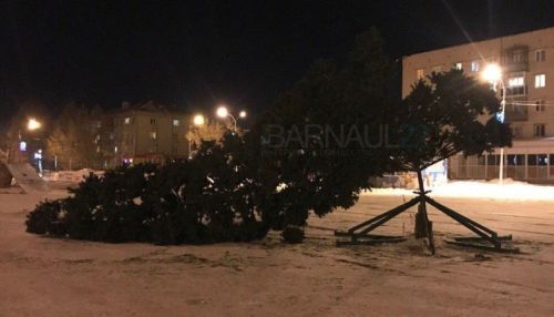 Недавно установленная новогодняя елка упала в поселке Южном в Барнауле