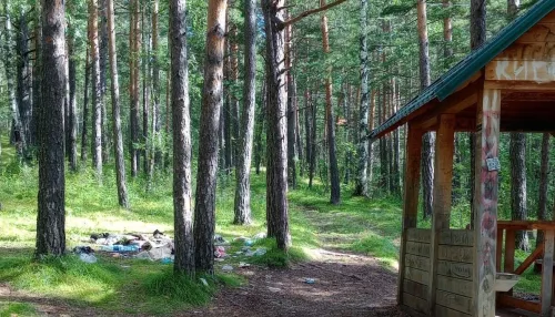 Добровольцы очистили озеро и лесополосу от мусора в Алтайском крае