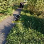 В алтайском селе неизвестный расстрелял собаку водителя скорой помощи