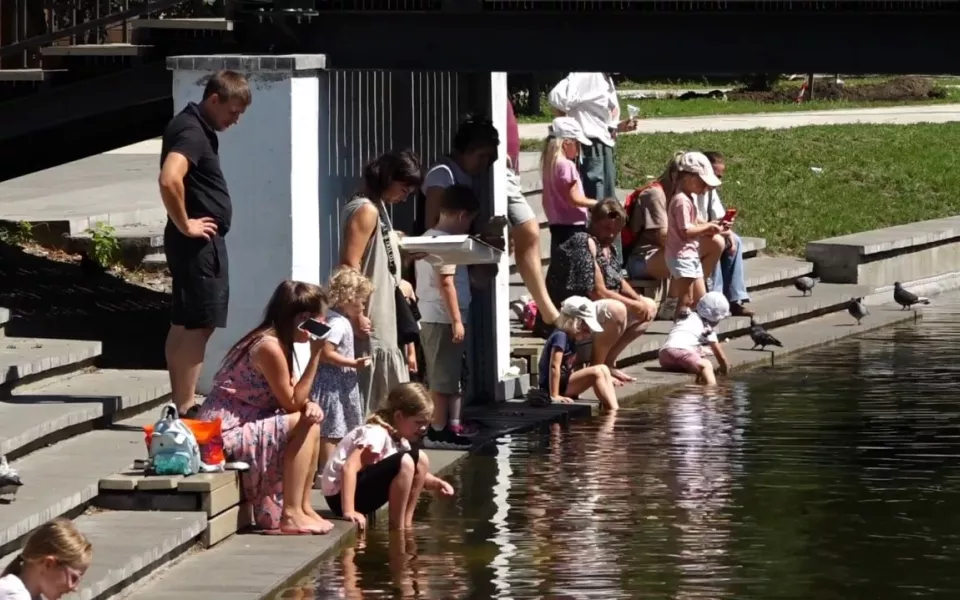 В алтайском минсоцзащиты рассказали, почему все чаще отказывают в едином пособии