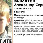 12-летний мальчик пропал в Барнауле: требуются волонтеры для поиска