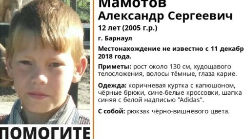 12-летний мальчик пропал в Барнауле: требуются волонтеры для поиска