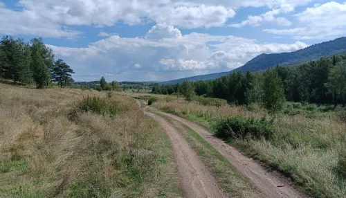 По факту пропажи двух молодых людей на Синюхе завели уголовное дело