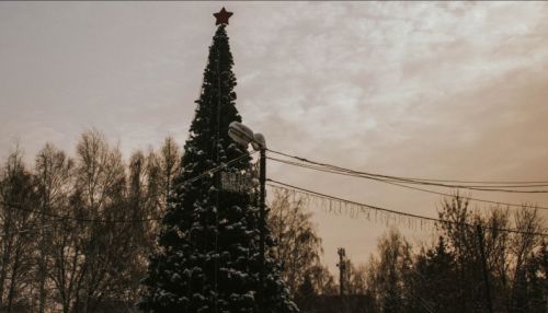 Как готовится к новогоднему празднику парк Лесная сказка в Барнауле