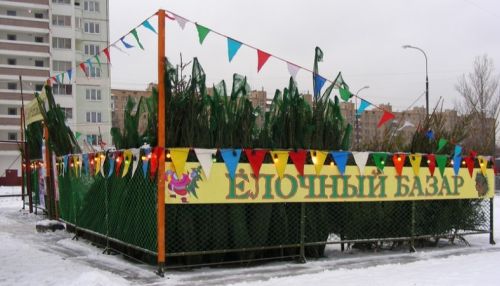 Елочные базары открываются 15 декабря в Барнауле