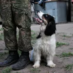 Без собак – никак: почему алтайским таможенникам нужны четвероногие помощники. Фото