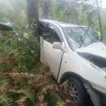 Погибла пассажирка: в Чемальском районе Toyota слетела в кювет и врезалась в дерево