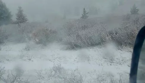 Бывает и так: в окрестностях Акташа лег снег. Впечатляющие фото