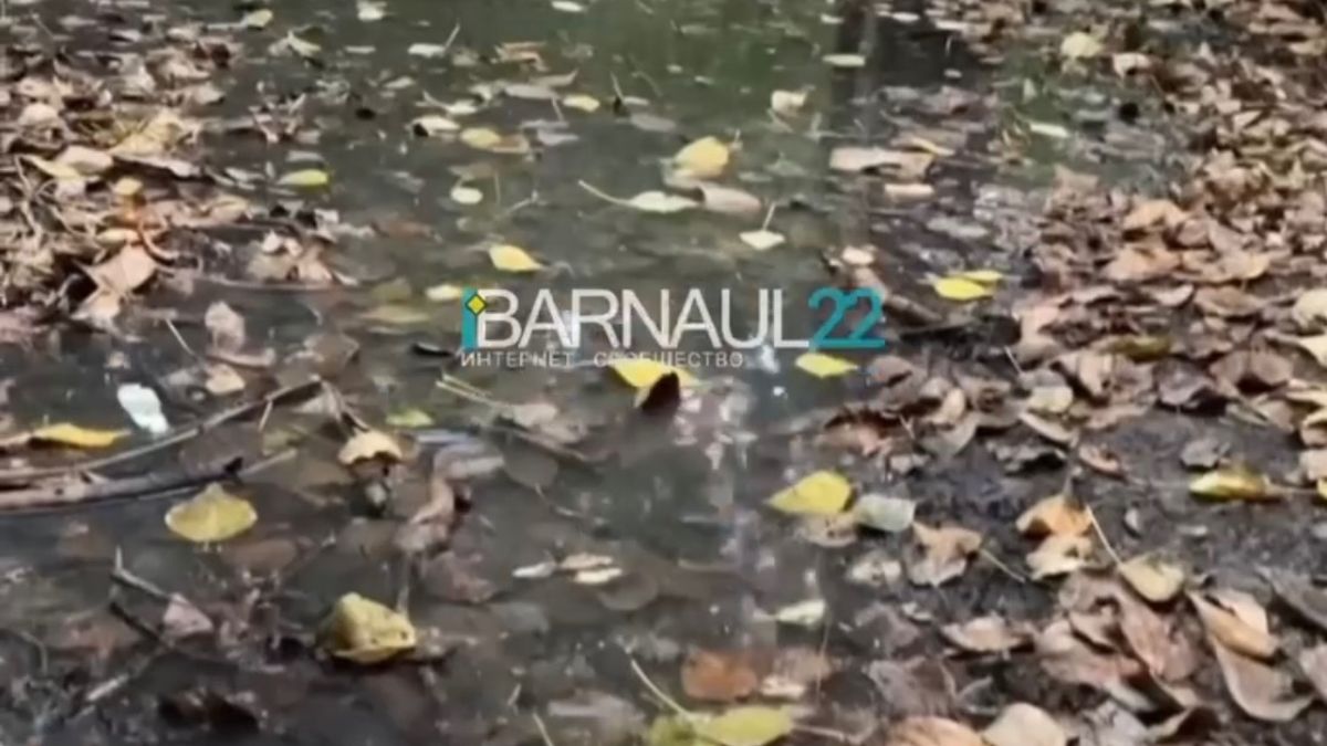 Вода в парке "Юбилейный"