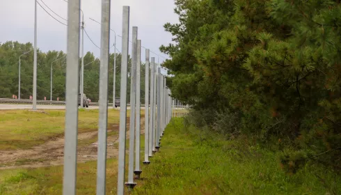 Противолосиные заборы начали строить вдоль федеральной трассы под Барнаулом