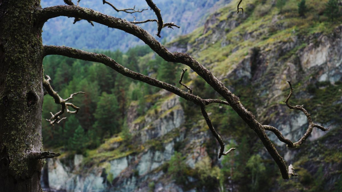 Чемал. Республика Алтай