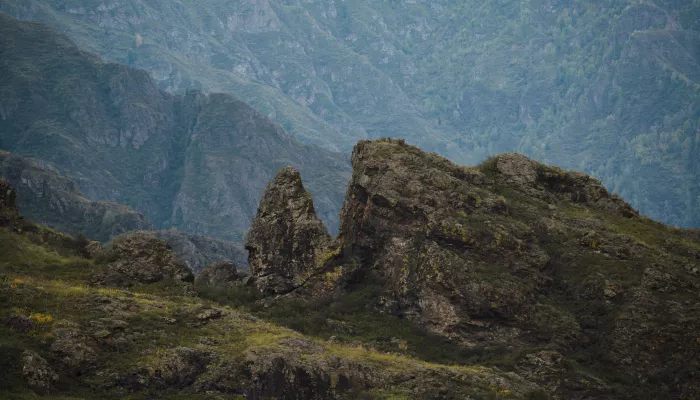 Ученые обнаружили древнюю операцию у женщины пазырыкской культуры с Алтая