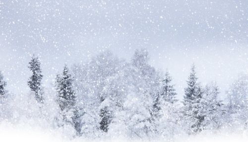 Снежную бурю и мороз прогнозируют синоптики 21 декабря на Алтае
