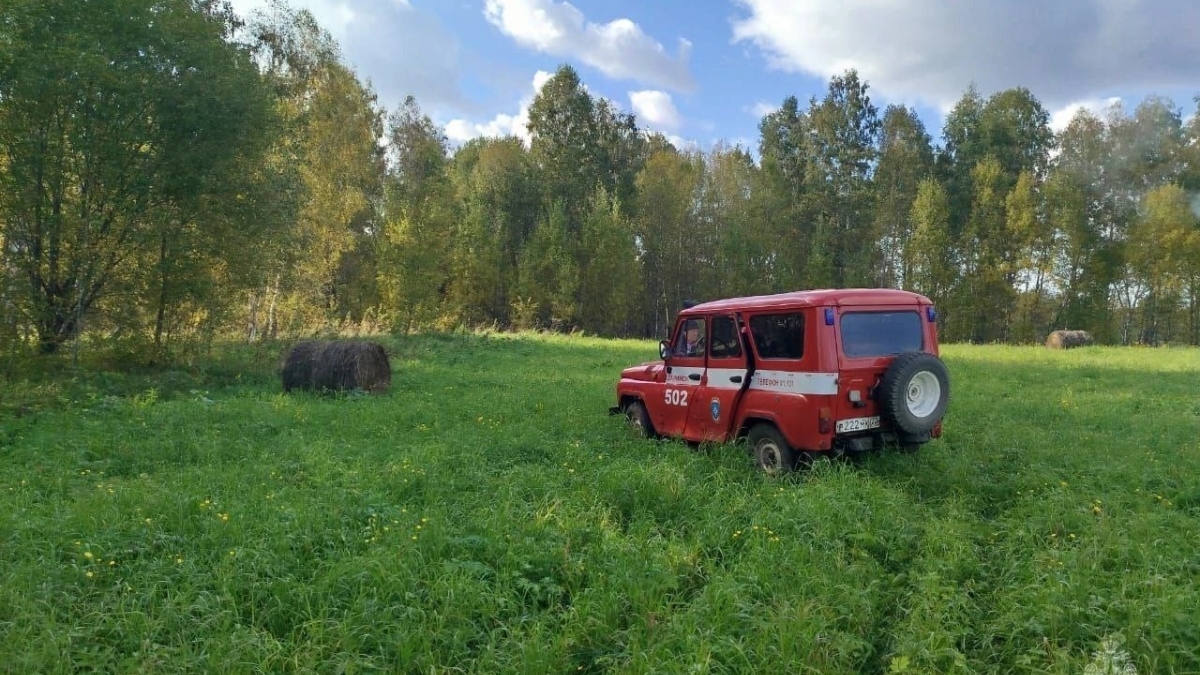 Поиски грибников в Алтайском крае