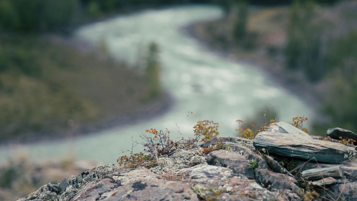 Урочище Калбак-Таш. Горный Алтай