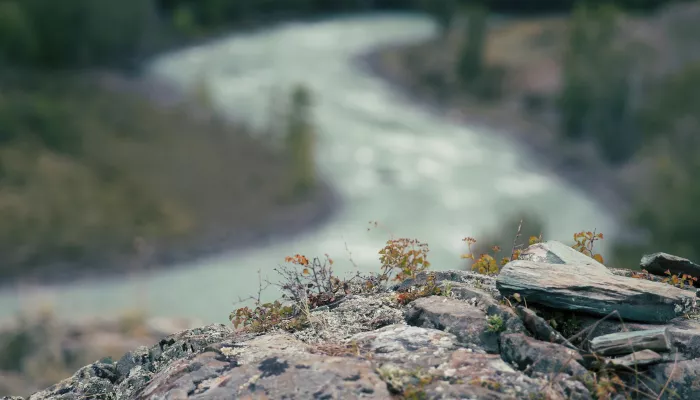 Креативные индустрии Республики Алтай выведут на новый уровень