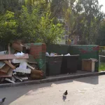 Власти Республики Алтай закупают новые мусоровозы для своего регоператора