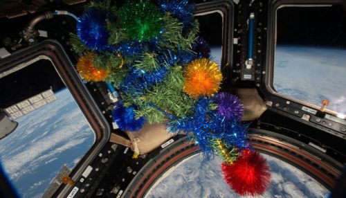 В NASA рассказали о рождественском меню экипажа МКС