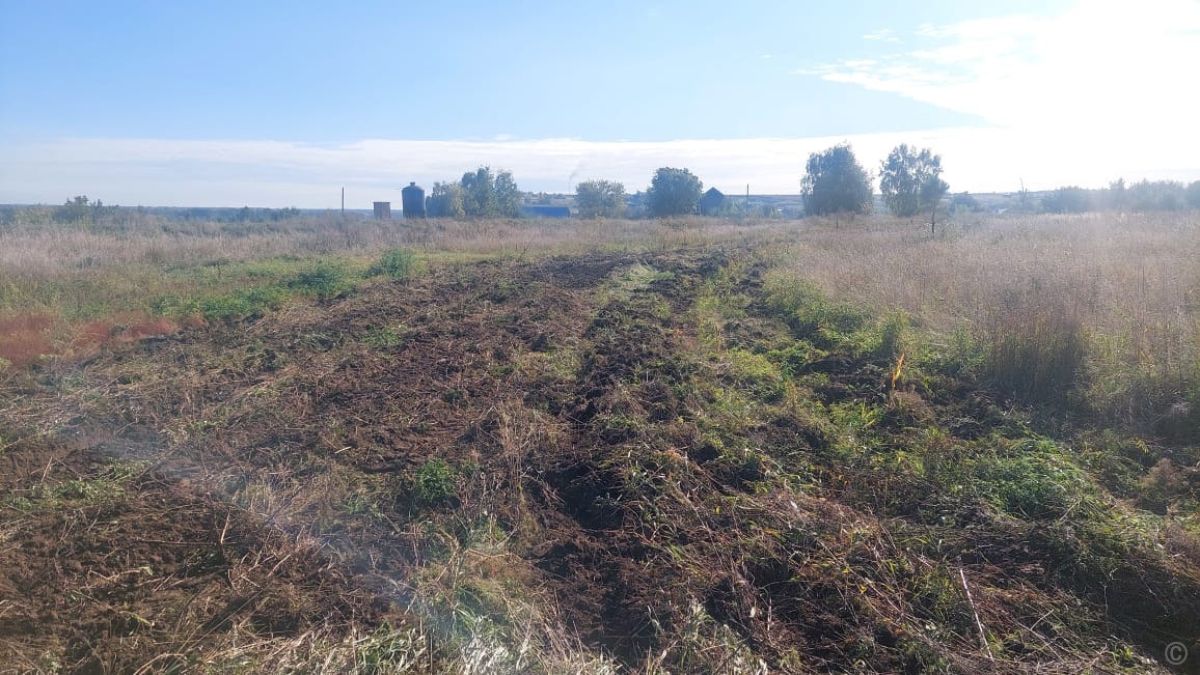 Осенняя противопожарная опашка в Барнауле