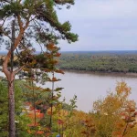 Барнаульцы поделились снимками из осеннего дендрария. Фото