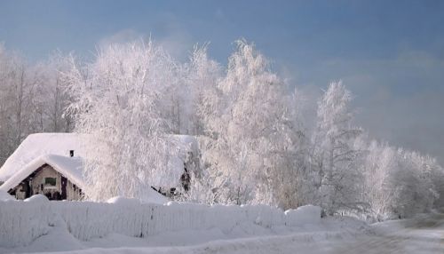 Мороз до -28 ожидается в Алтайском крае 24 декабря