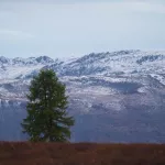 285 экскурсоводов и гидов-переводчиков в Республике Алтай прошли аттестацию