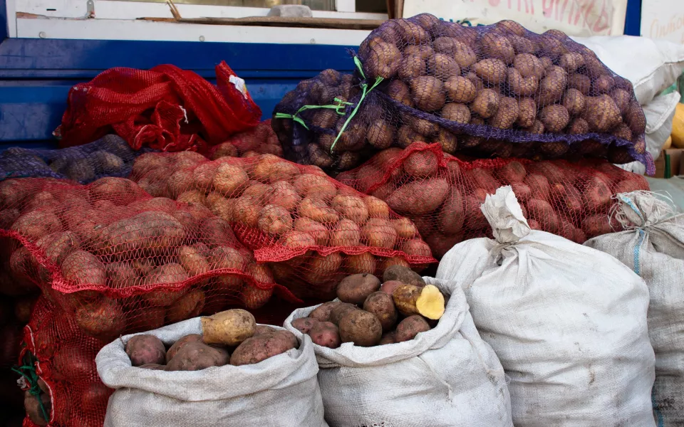 Картофельный марафон ждет жителей Барнаула на субботних ярмарках