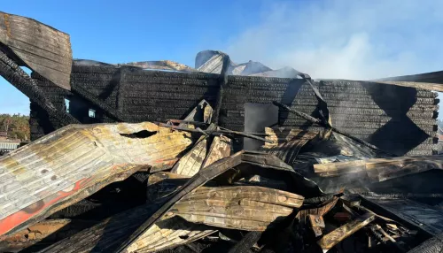 В доме многодетной семьи в Алтайском крае произошел смертельный пожар