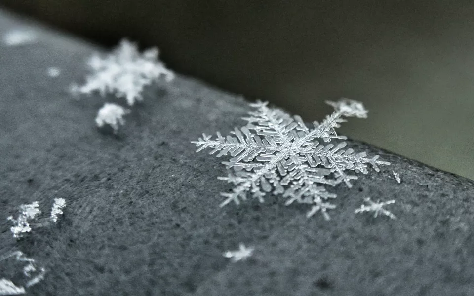 Заморозки и похолодание до -4 ждут Алтайский край под занавес мая