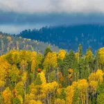 Алтайский заповедник расцвел осенними красками в конце сентября. Фото