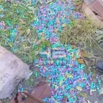 Россыпь конфет обнаружили барнаульцы в ленточном бору