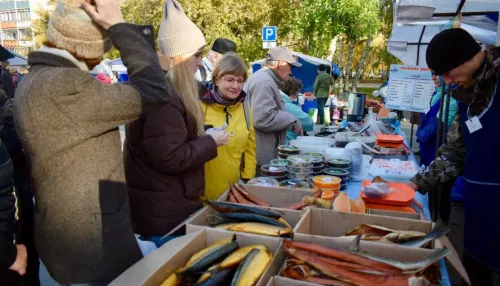 Заключительные продуктовые ярмарки пройдут в Барнауле в рабочую субботу