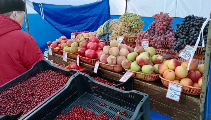 Вкусно и полезно: где и когда в Барнауле пройдут продовольственные ярмарки