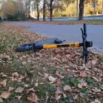 Биолог объяснила, почему в Барнауле уже в июле начался листопад